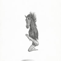 Horse (10)