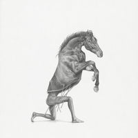 Horse (11)