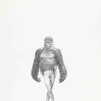 Silverback Gorilla (22)