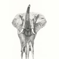 African Elephant (38)