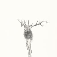 Red deer (2)