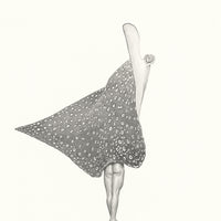 Spotted eagle ray (15)