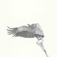 Vulture (58)