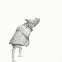 Indian rhinoceros (60)