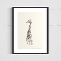 Northern giraffe (3)