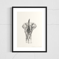 African Elephant (38)