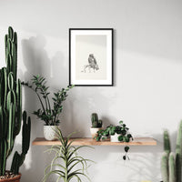 Silverback gorilla & leopard (31)