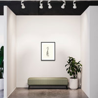 Northern giraffe (3)