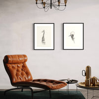 Bottlenose dolphin (36)