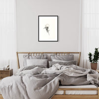 Bottlenose dolphin (36)