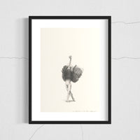 Ostrich (5)