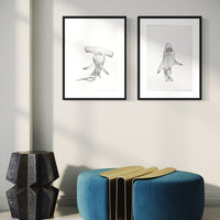 Hammerhead Shark (12)