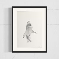 Great White Shark (19)