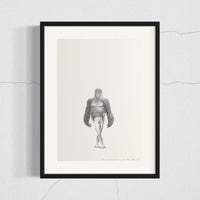 Silverback Gorilla (22)