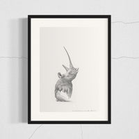 White Rhinoceros (13)