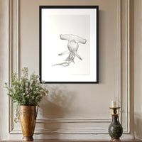 Hammerhead Shark (12)