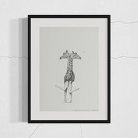 Giraffes (5)