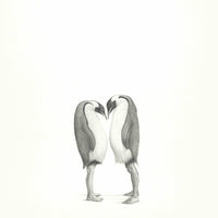 Emperor Penguins (6)