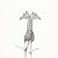 Giraffes (5)