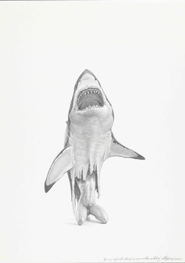 Great White Shark