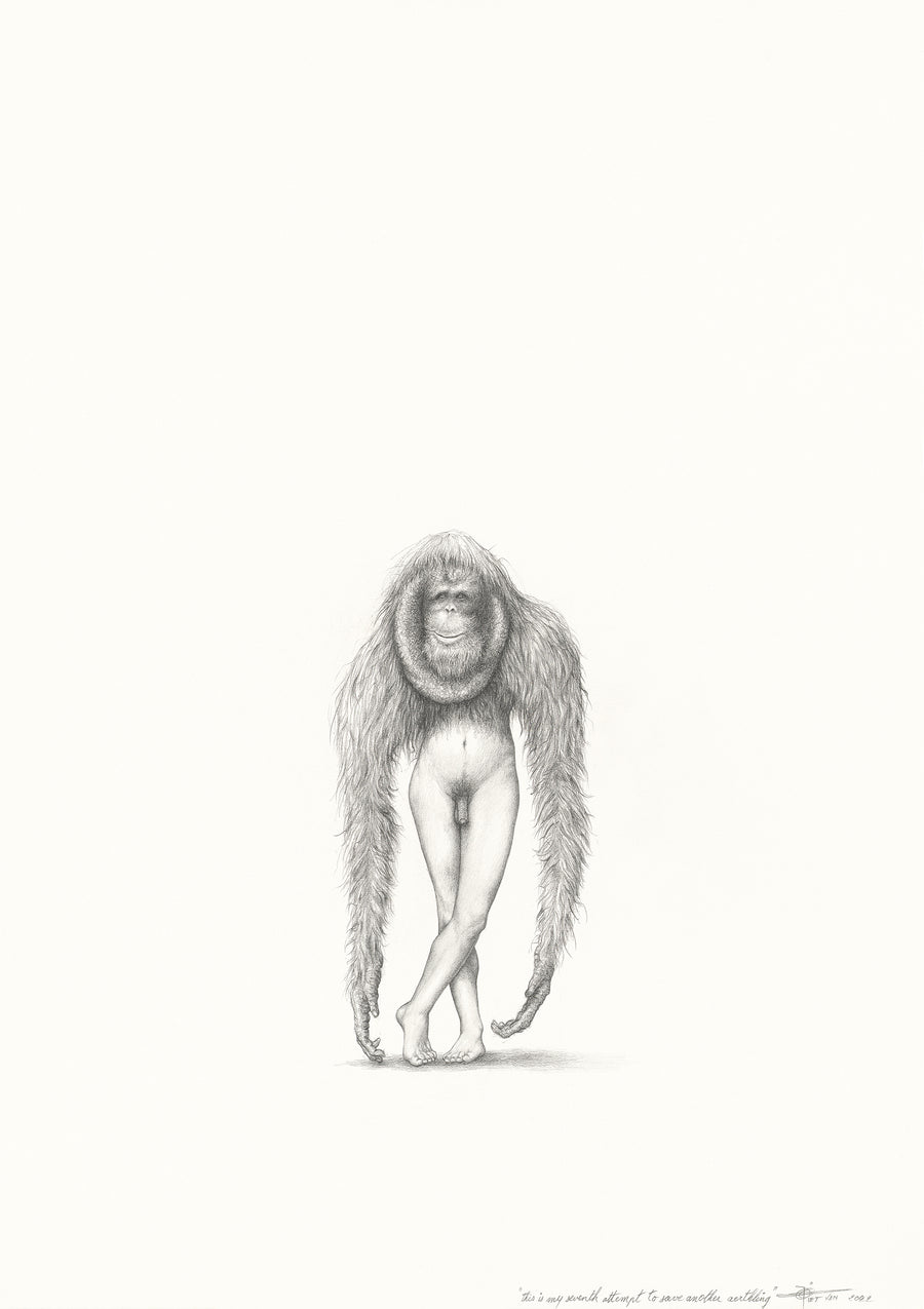 Orang-utan