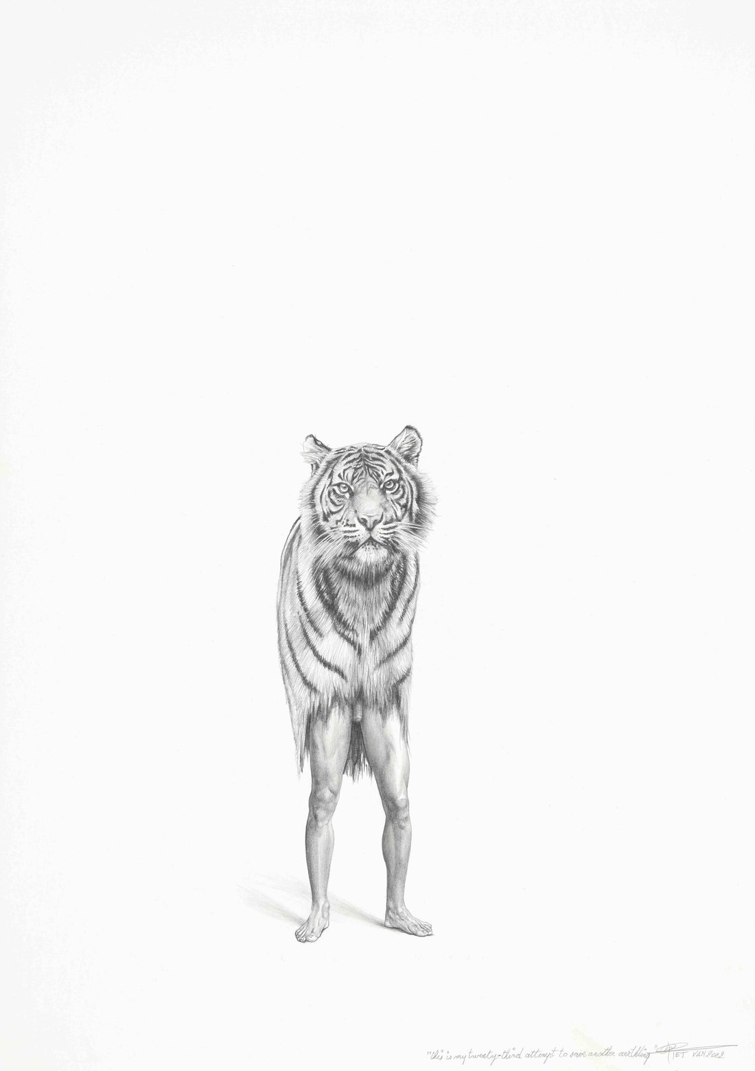 Bengal Tiger