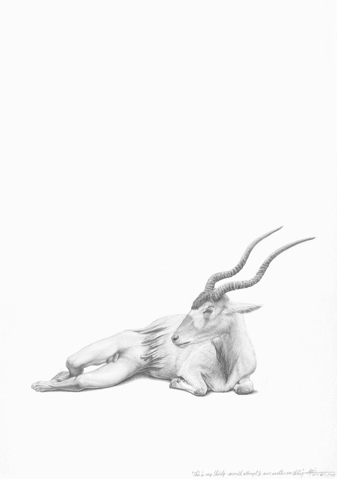 Addax Antelope