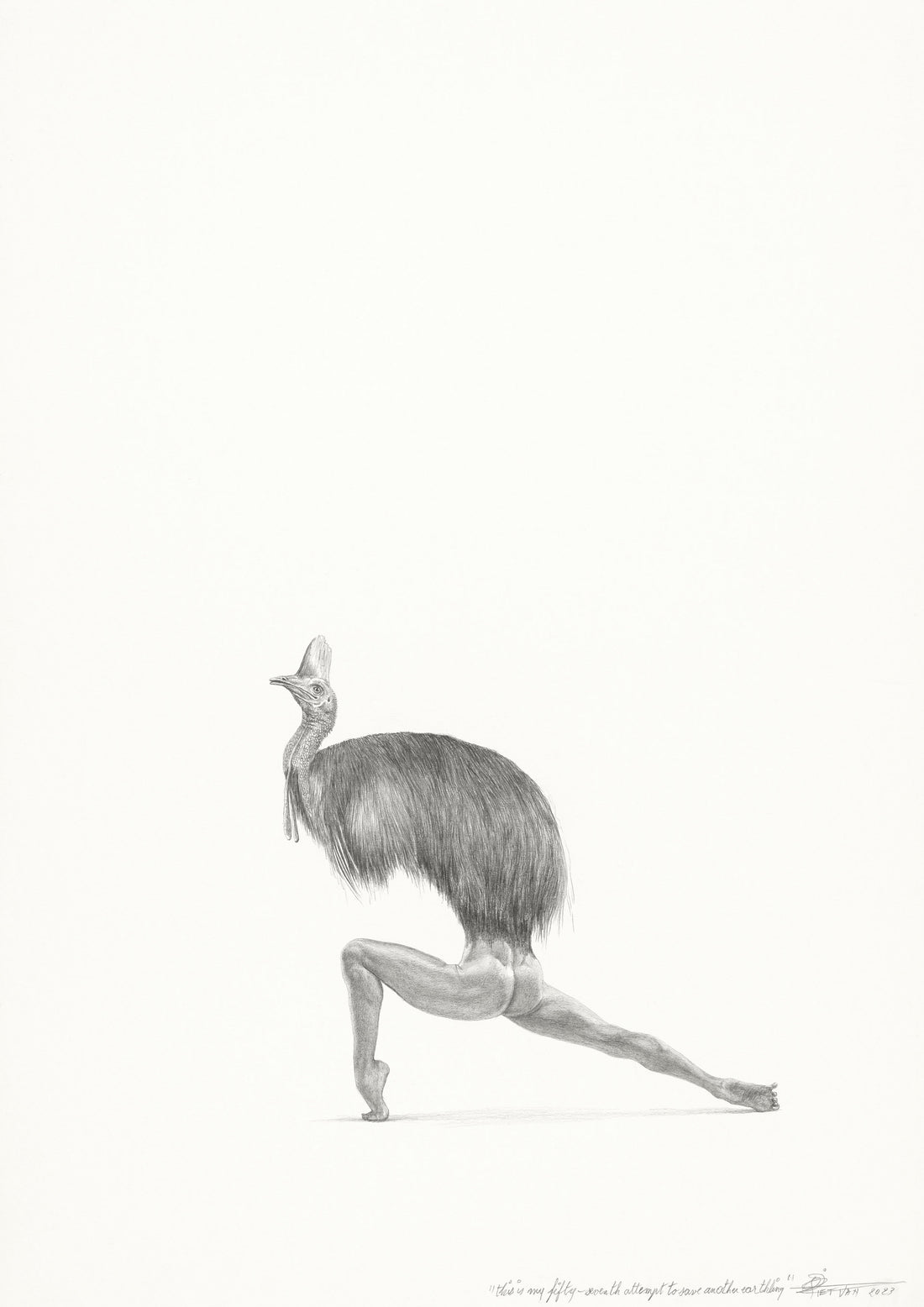 Cassowary (57)