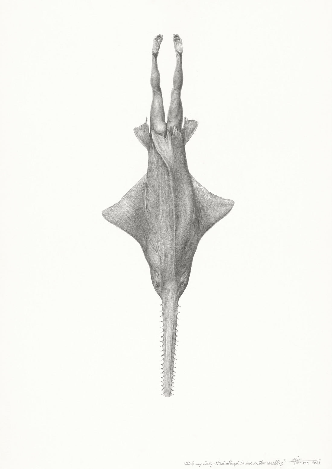 Sawfish (63)