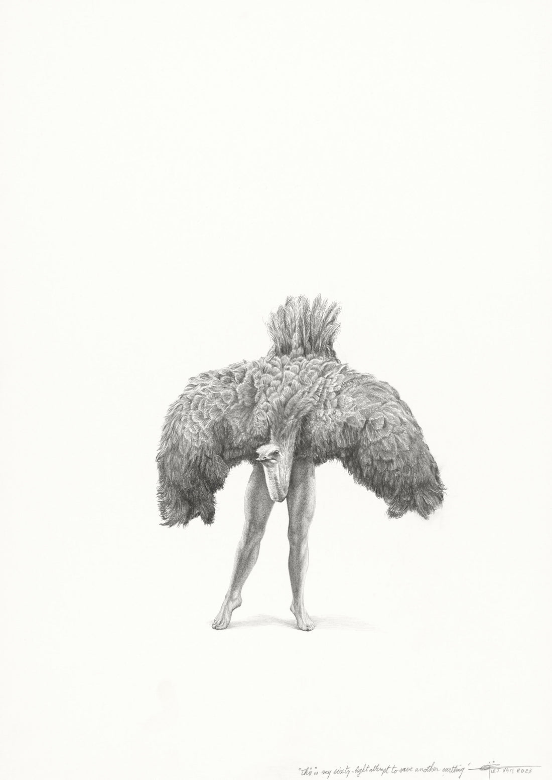 Ostrich (68)