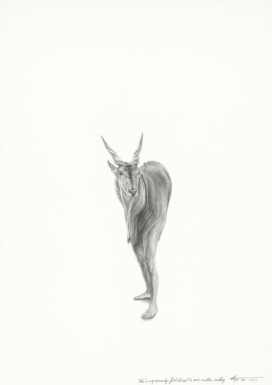 Eland Antelope (71)