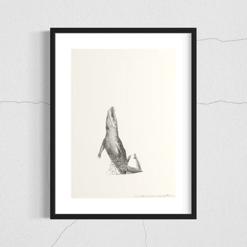 Crocodile 1