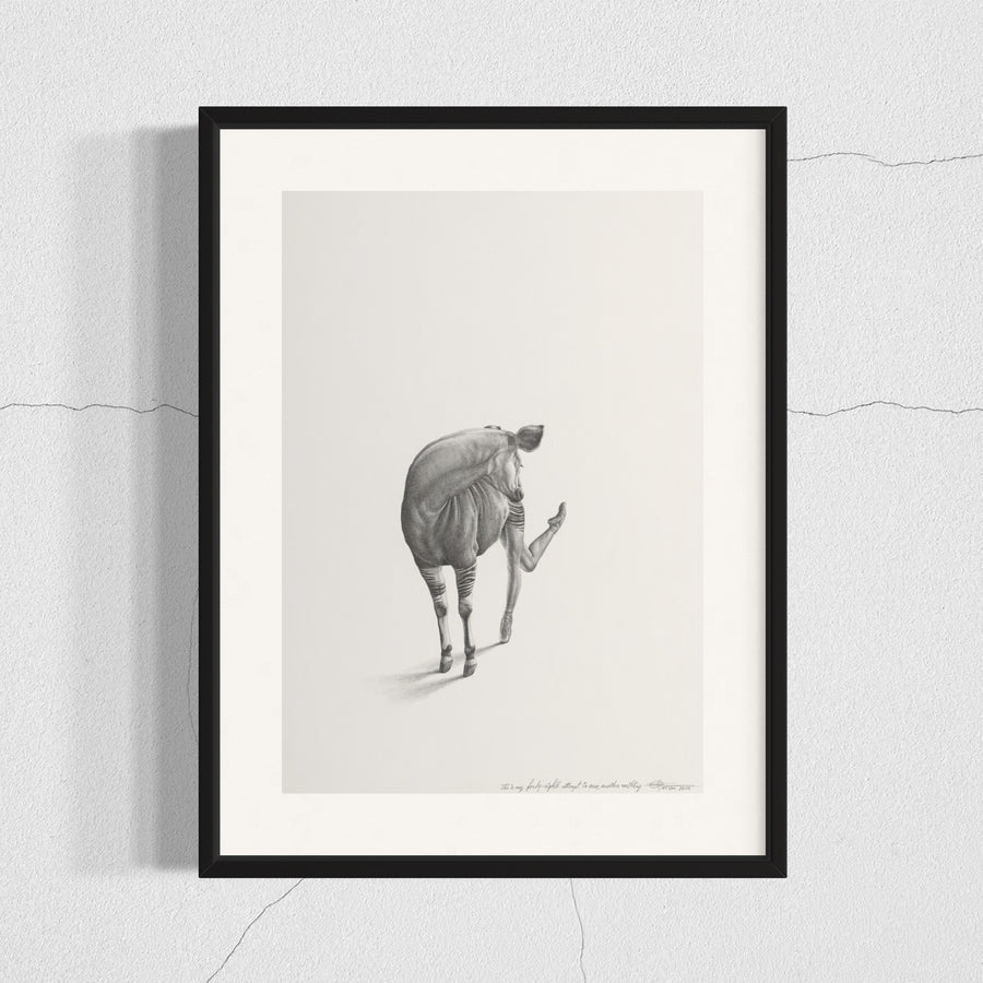 Okapi (48)