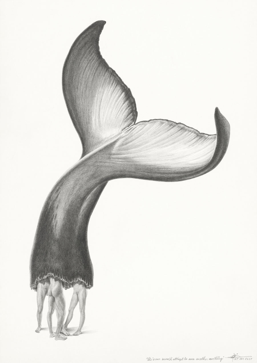 Humpback whale (7)