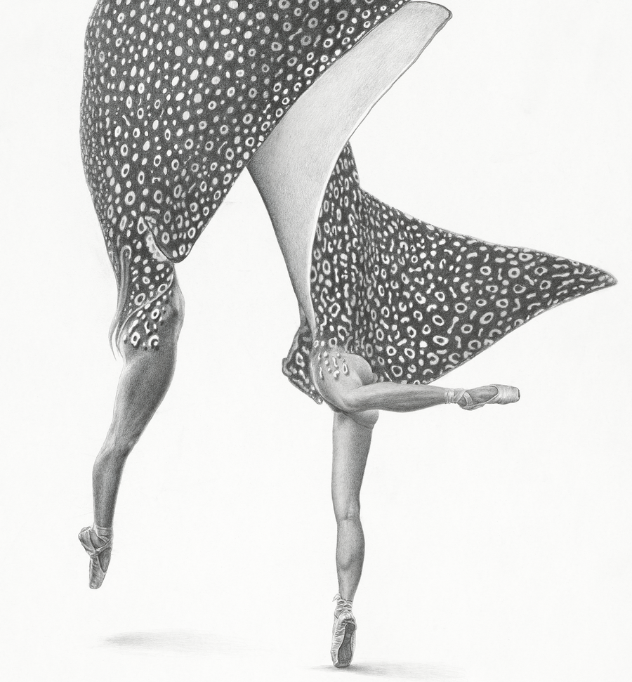 Leopard Rays (5)